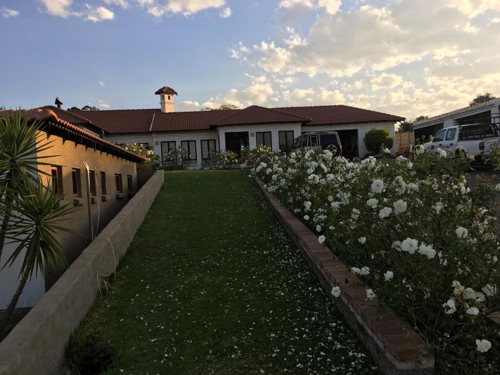 Garden, Bottom of Boden in Johannesburg