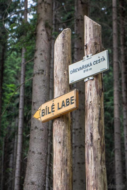 Sports and activities