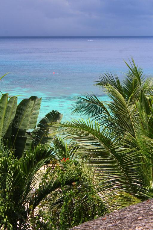 Activités à proximité