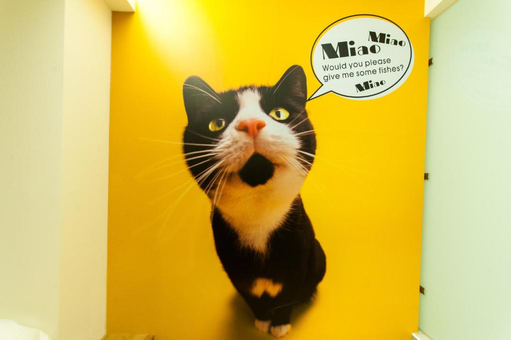 더블 비앤비 호텔 이미지 2