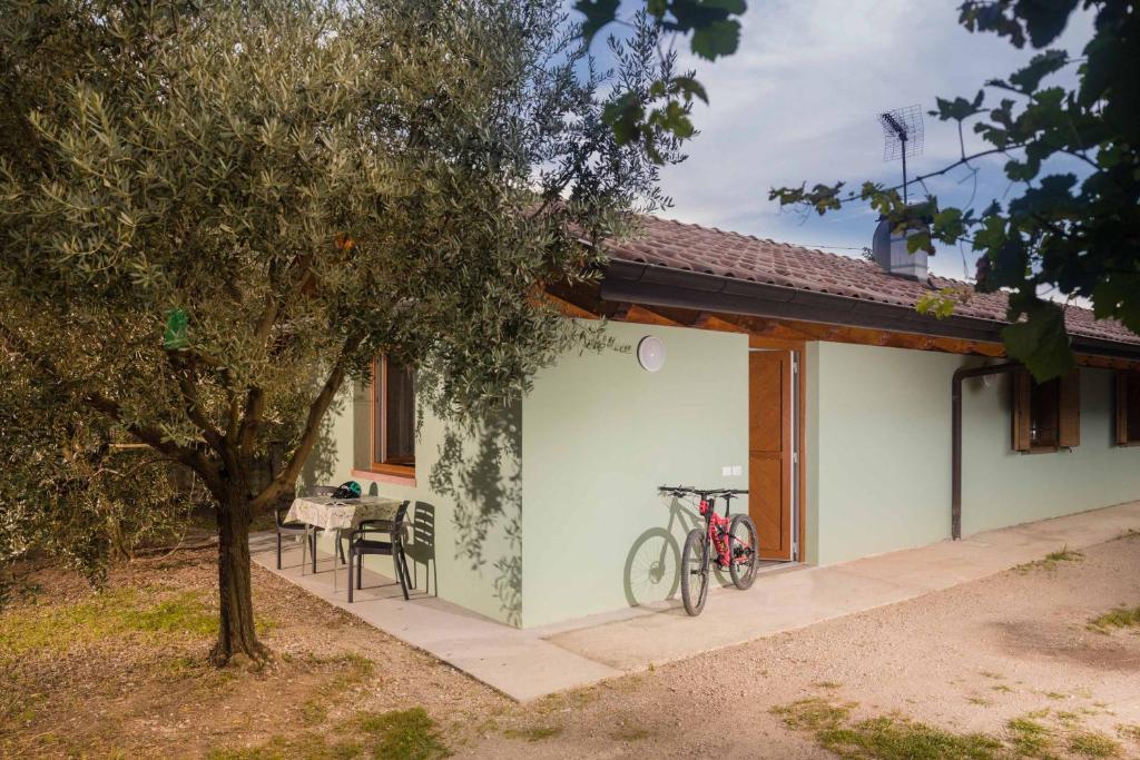 Agriturismo Sarca House - 4