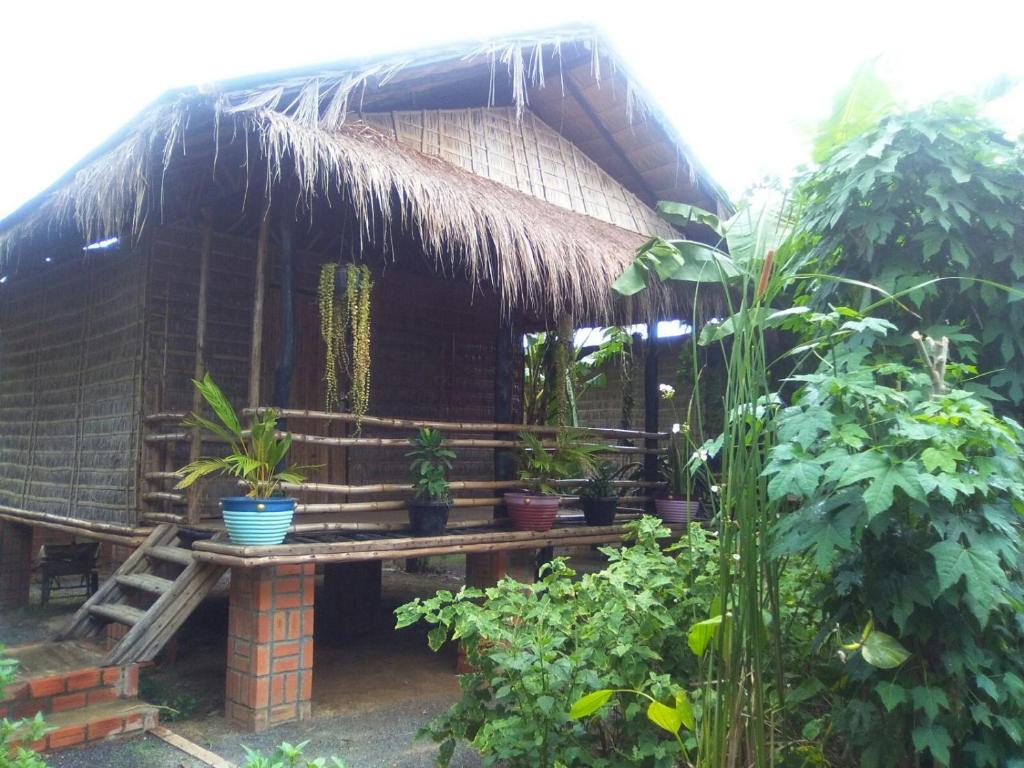Exterior view