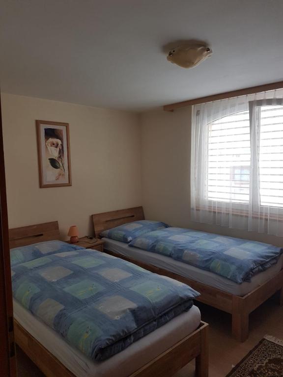 Haus Orta photo