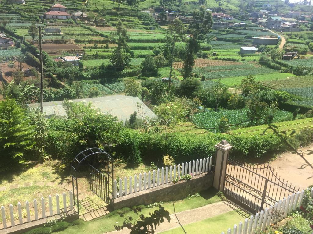 Perera Homestay photo