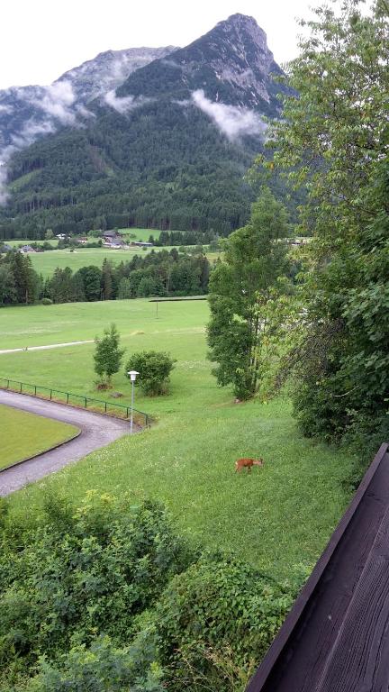 Alpencottage Bad Aussee - 4