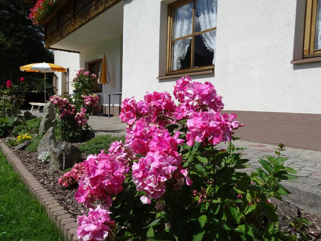 Alpenfrieden - Nauders - 3