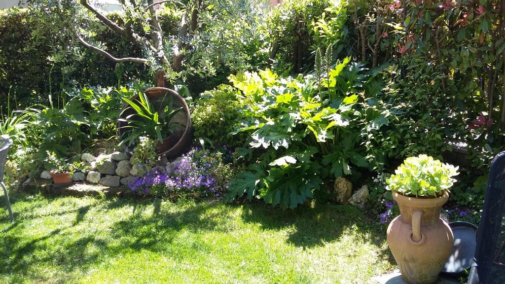 B&B Il Paiolo - 5