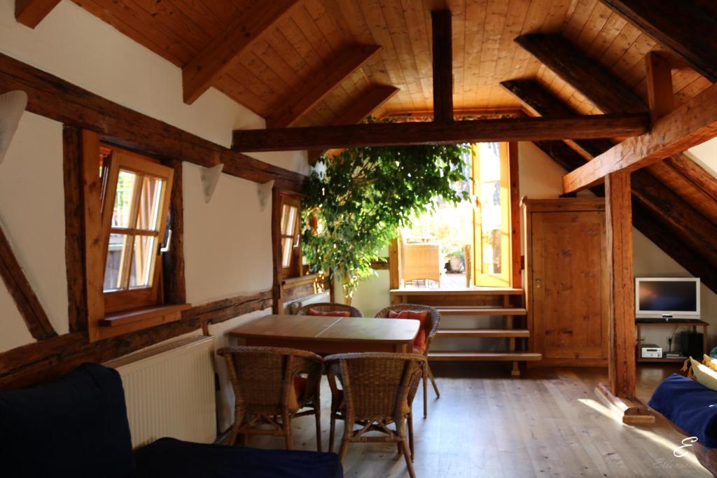 Bio-Ferienwohnung Ellensohn - 5