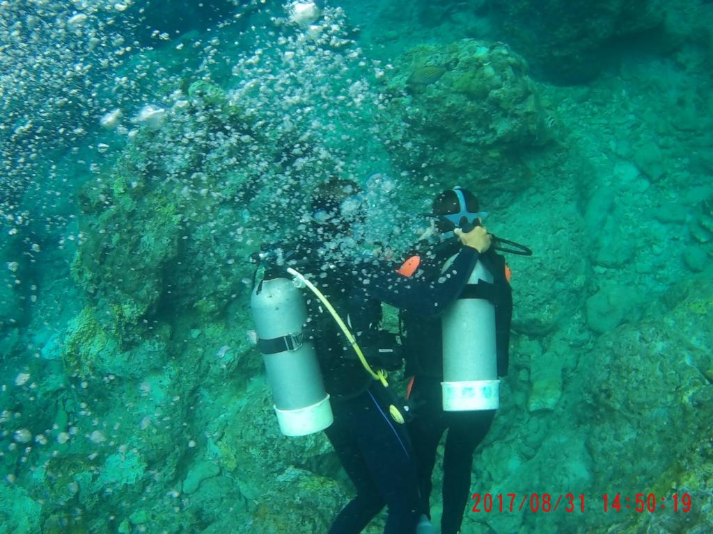 Sports and activities