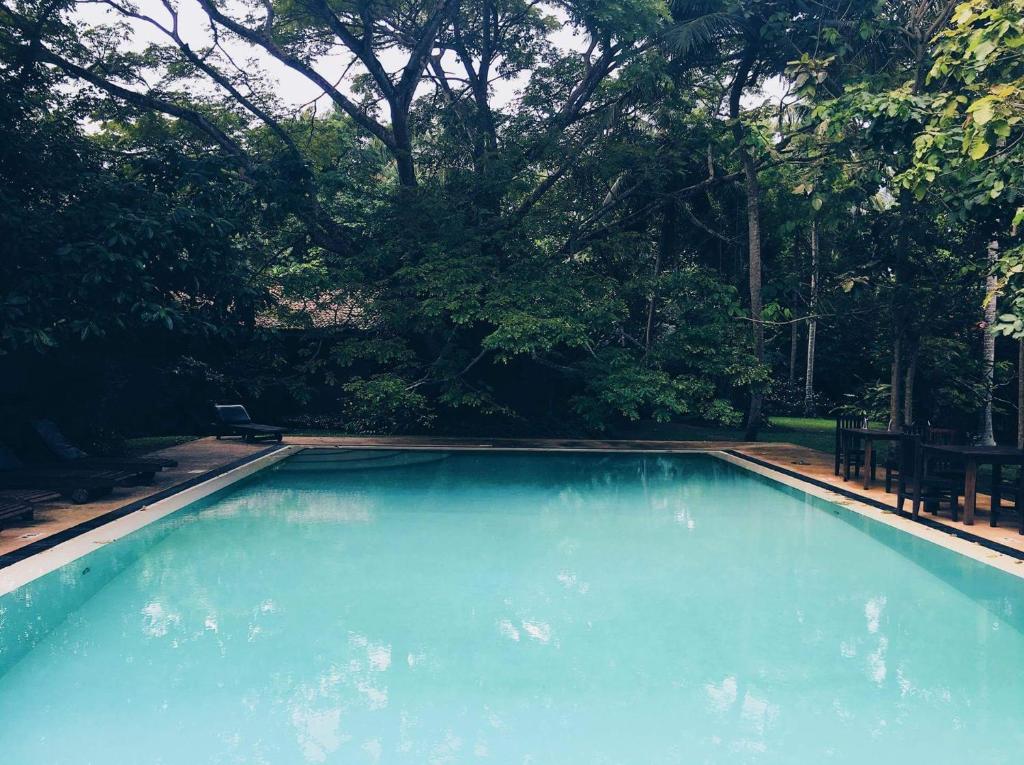 Bungalow Sud photo