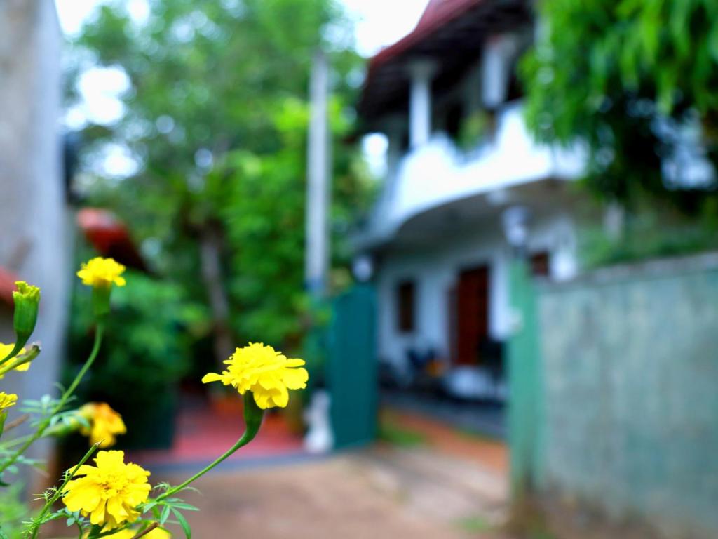 Siluni Homes photo