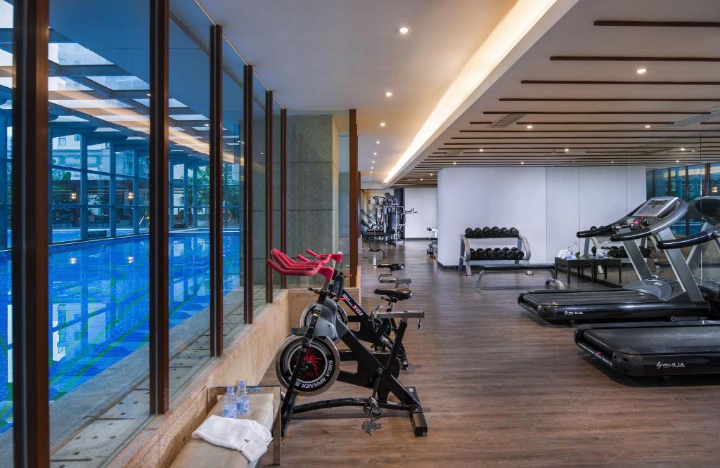 Gimnasio