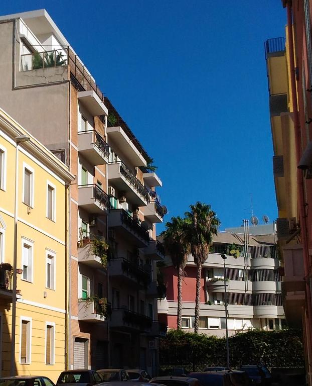 Il prato sul terrazzo - 2