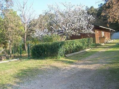 Mas Torrenaps - 2