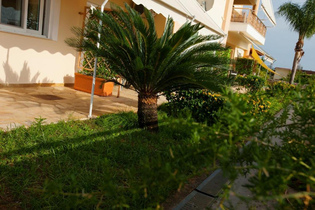 Petra Thea Apartments 2 photo