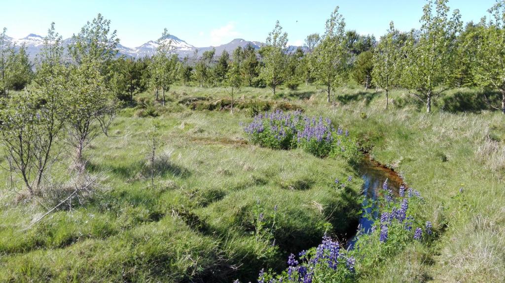 Surrounding environment