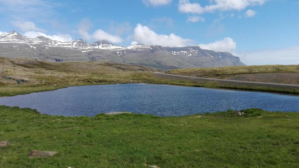 Surrounding environment