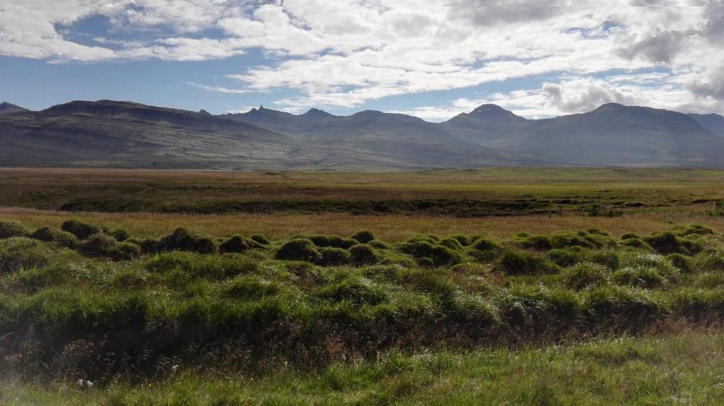 Surrounding environment