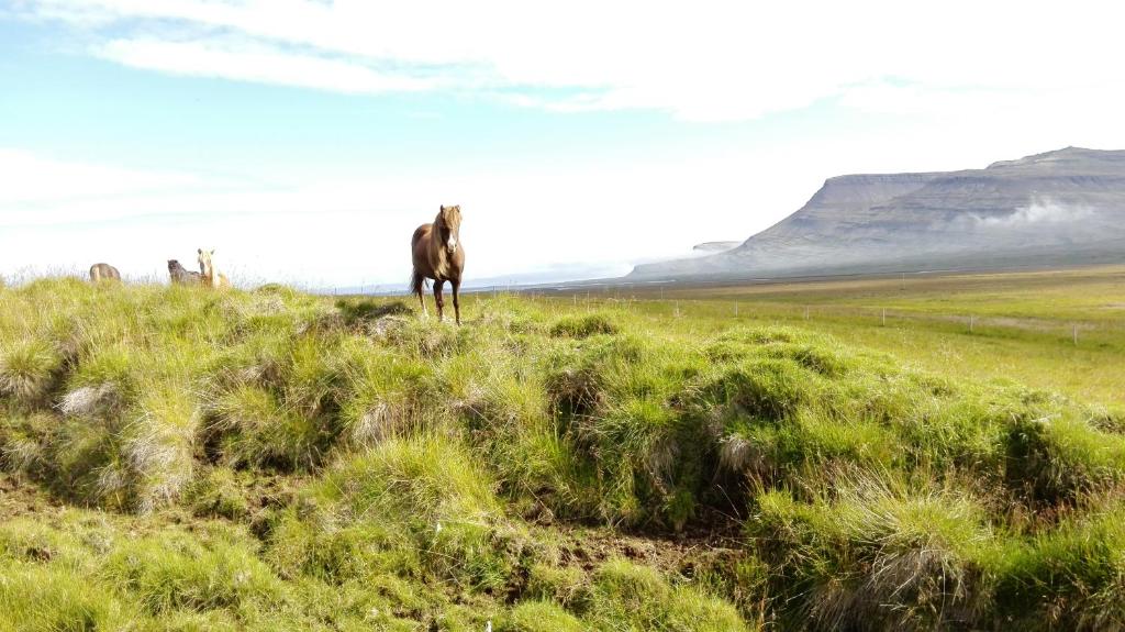 Surrounding environment