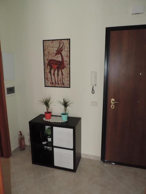 Sasha's Crib - 5