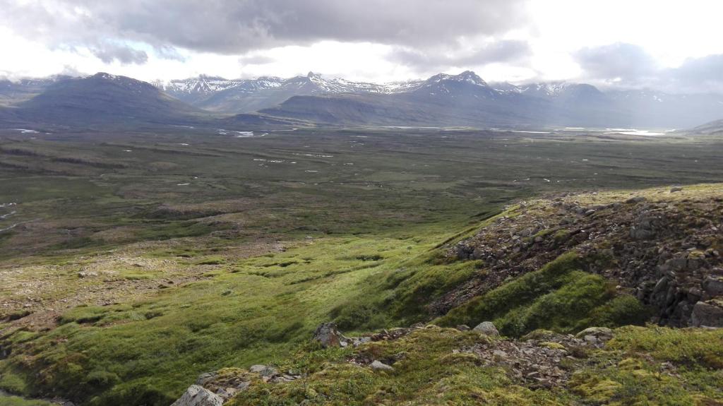 Surrounding environment