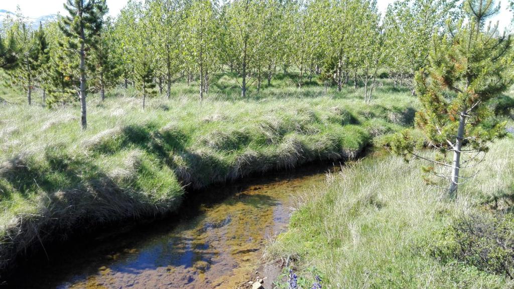 Surrounding environment