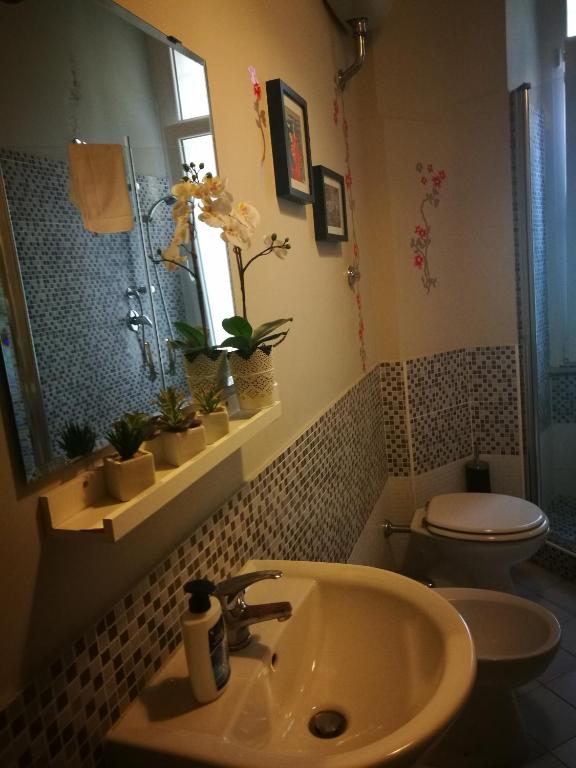 Alexia Home - 5
