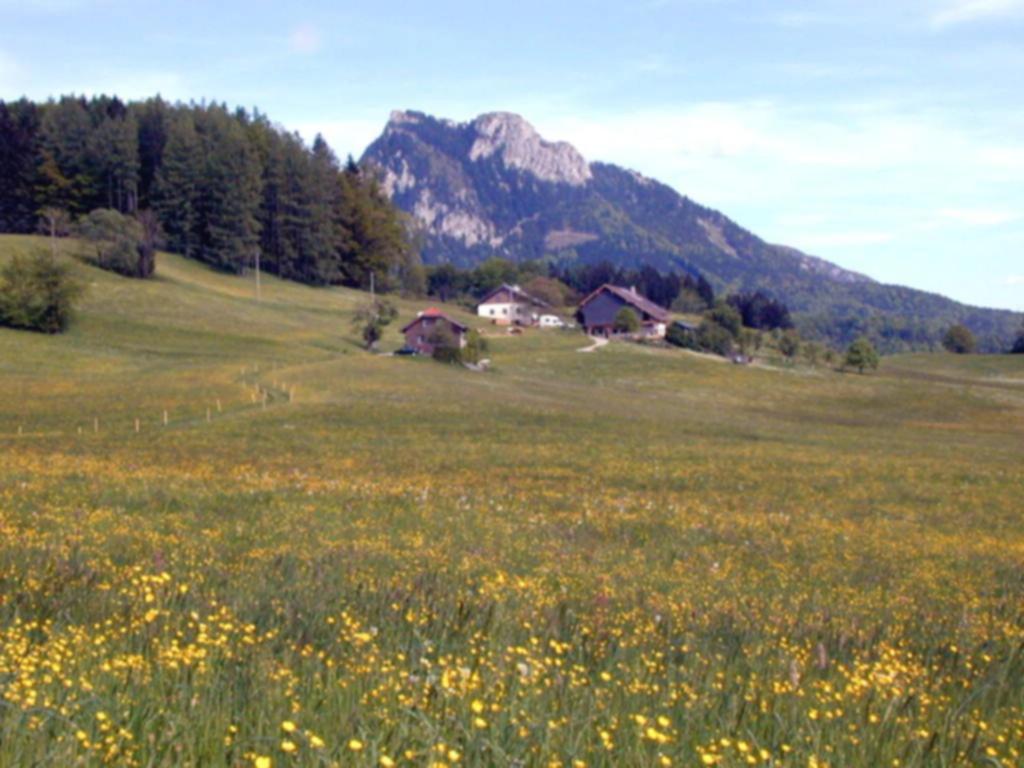 Leitingerhof - 2