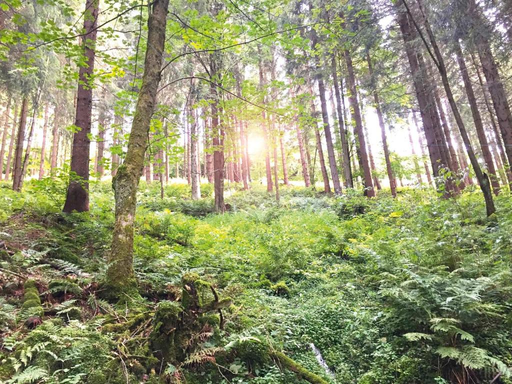 Surrounding environment