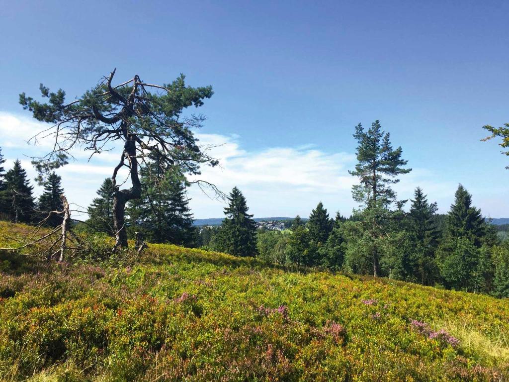 Surrounding environment