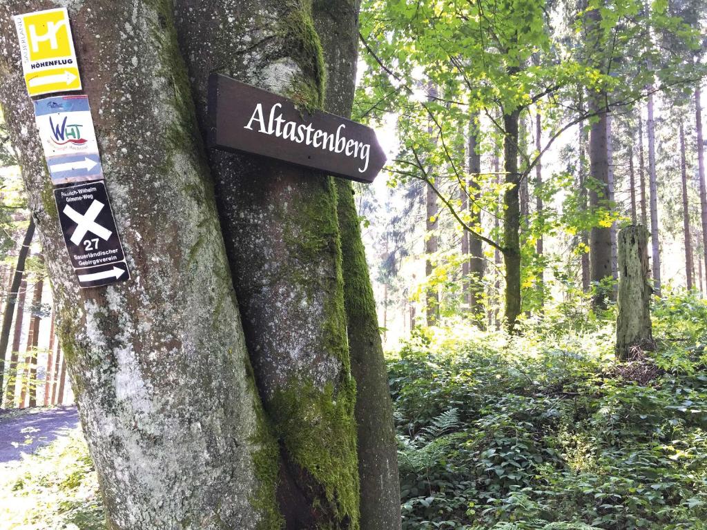 Surrounding environment