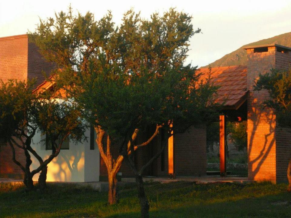 Cabañas La Lucinda - 5