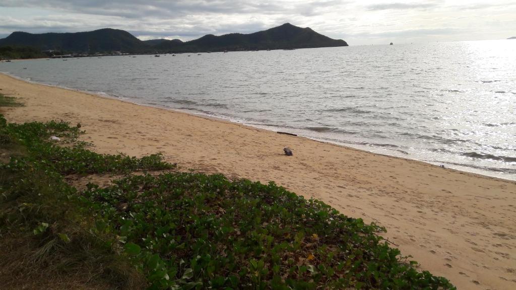 Asia's Beach Apartments photo