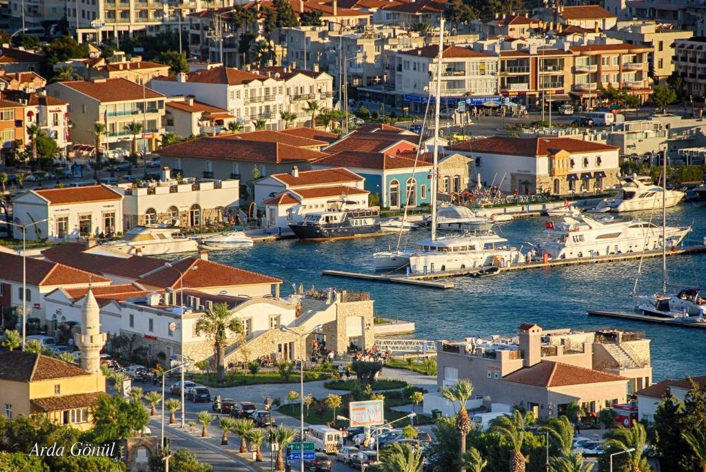 Ảnh 5