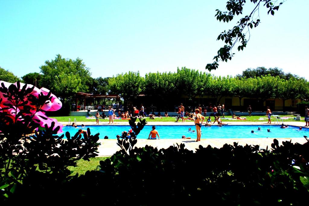 Camping Castell D'aro - 5