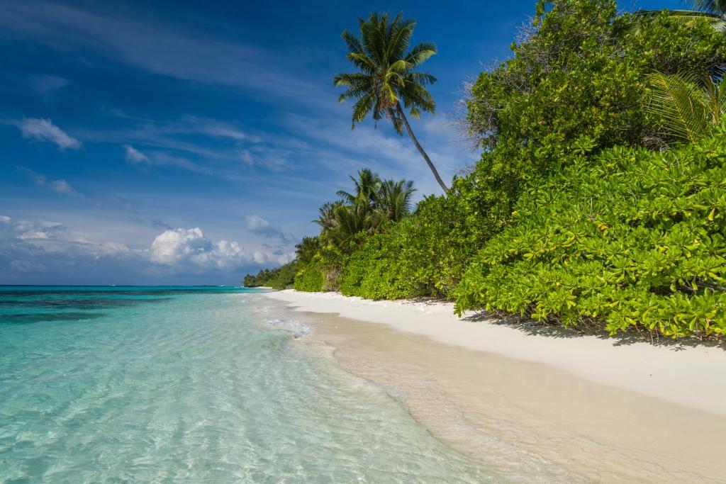 Great beach access