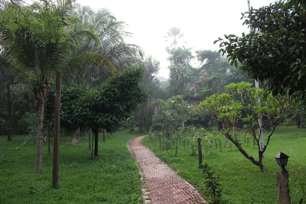 Surrounding environment