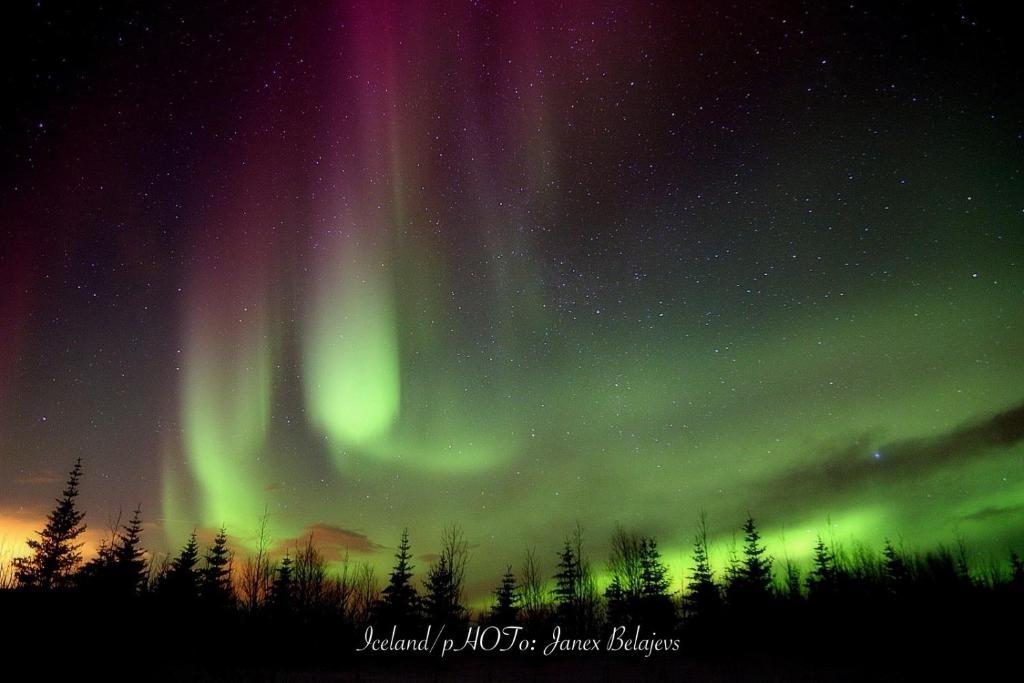 Country Dream - Langholt 2, Selfoss