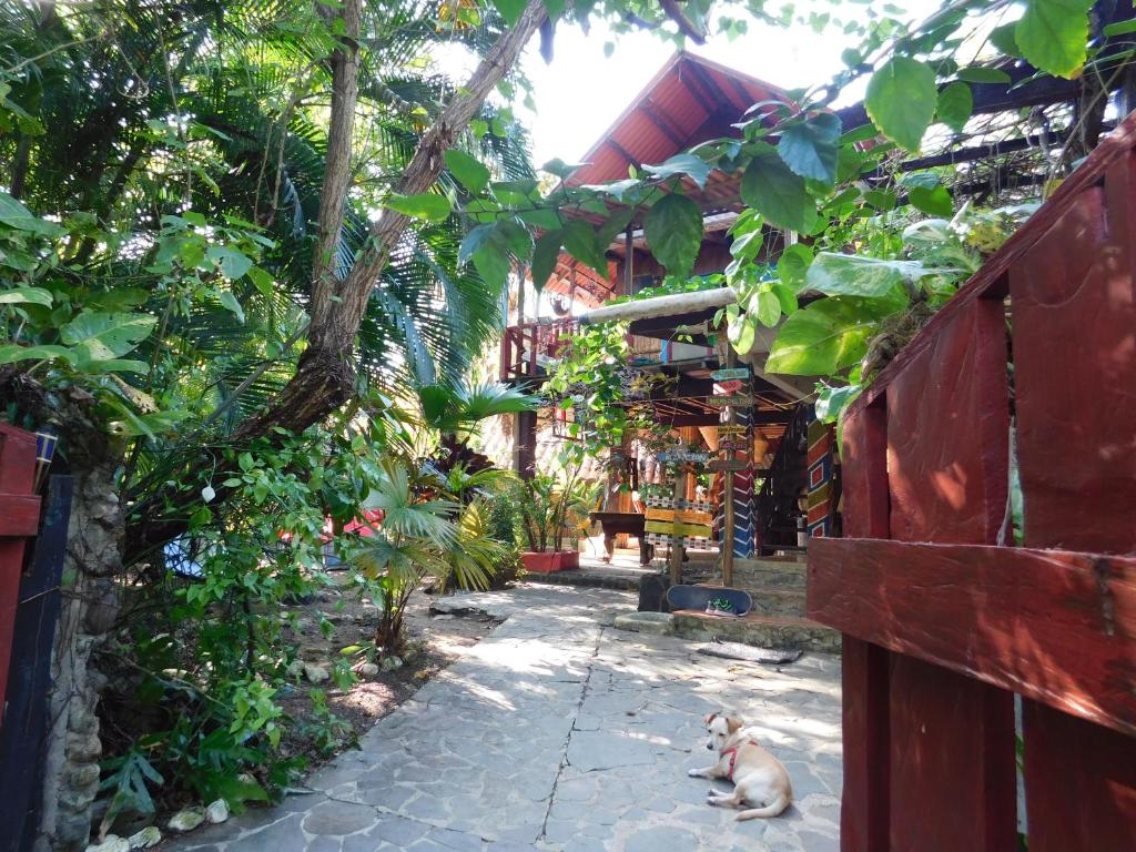 Macondo Hostel photo