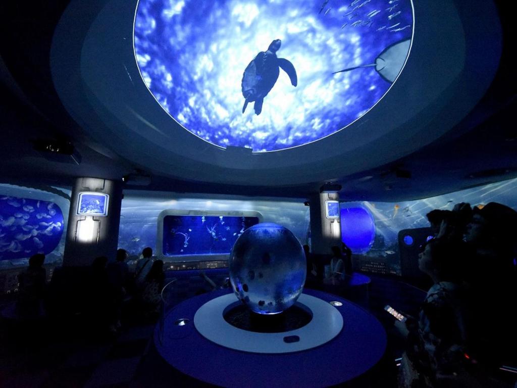 Nearby attraction