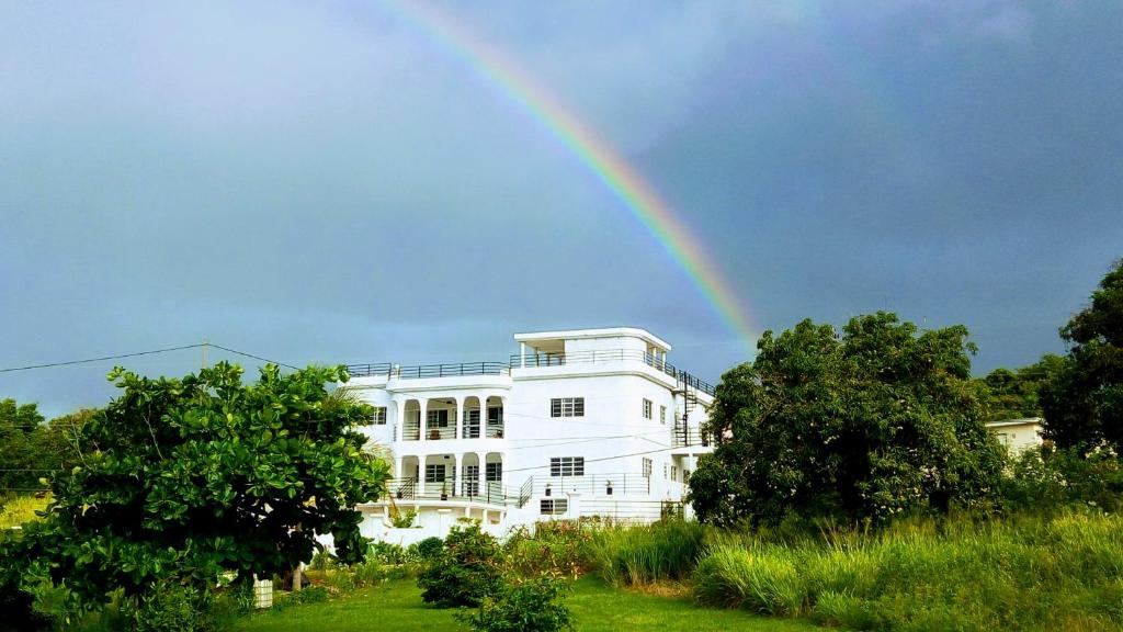 Big Red's, Bull Savanna