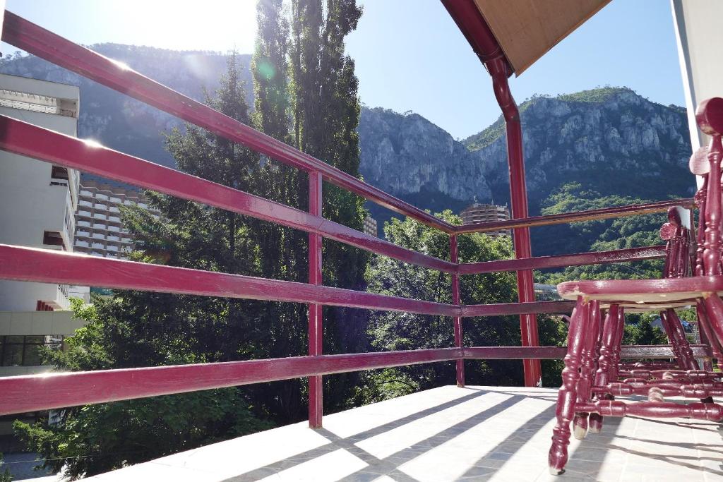 Pensiunea Pinul Negru photo