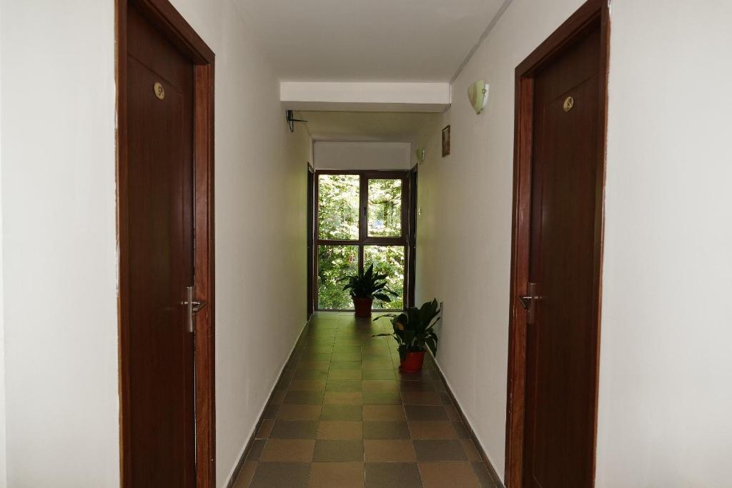 Pensiunea Pinul Negru photo