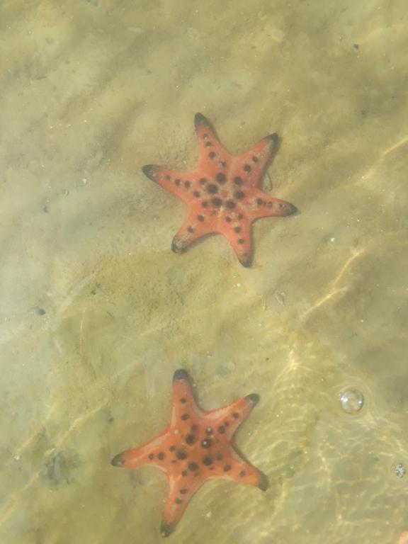 Surrounding environment