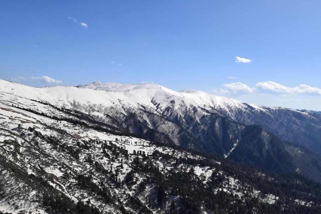 Thira Chanshal photo