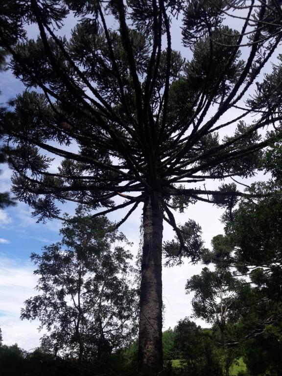 Surrounding environment