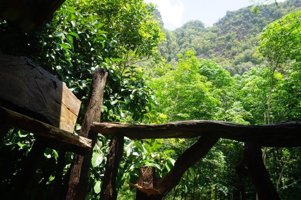 Khao Sok Green Mountain View Bungalows photo