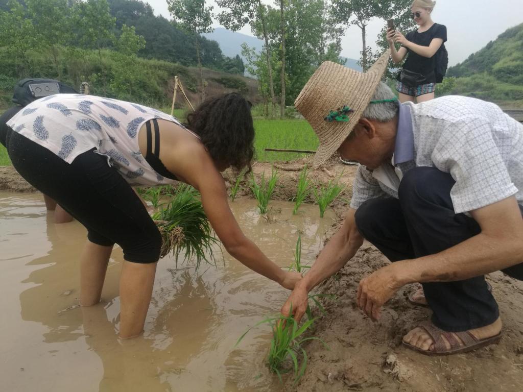 周辺案内