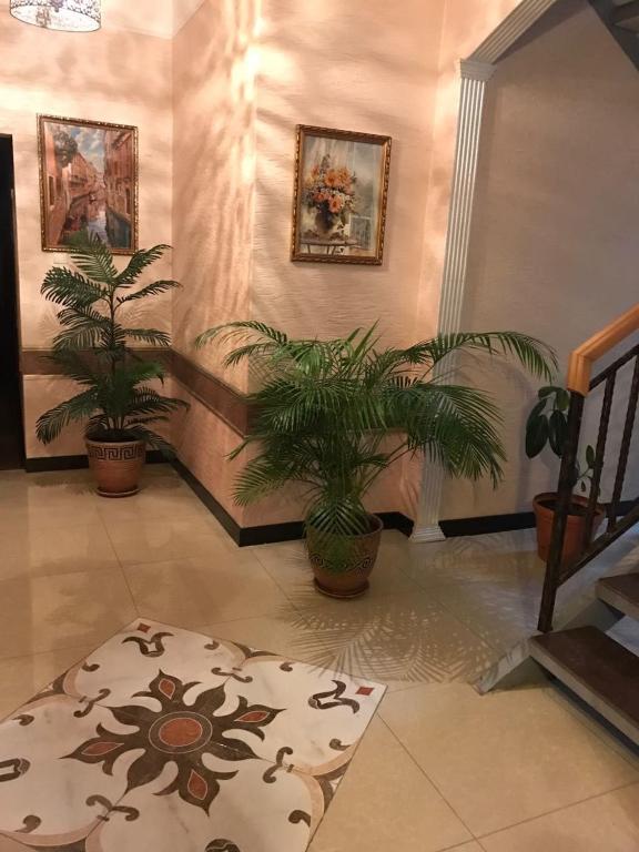 Hotel Central photo