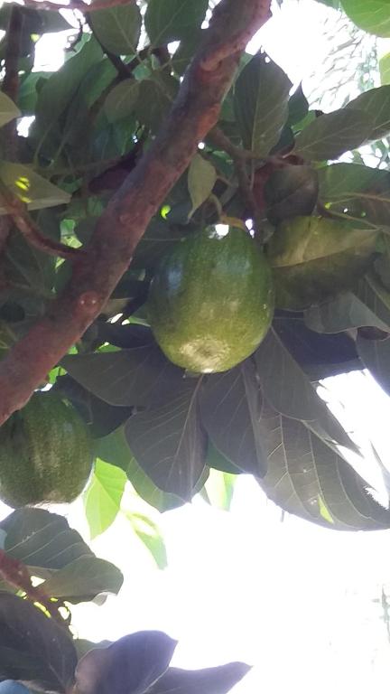 Surrounding environment